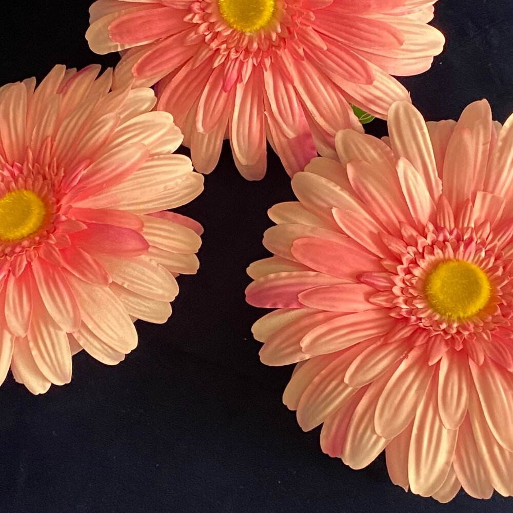 Wall flowers
